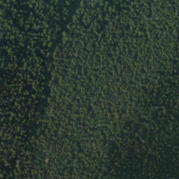Satellite imagery of boundary_stone, SK