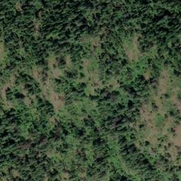 Satellite imagery of Tamarac Mountain, CA
