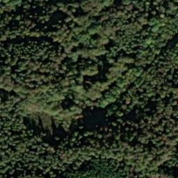 Satellite imagery of Nameless Point, DE