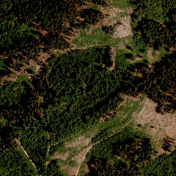 Satellite imagery of survey_point, CZ