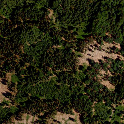 Satellite imagery of survey_point, CZ