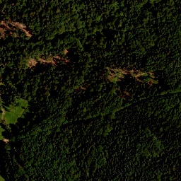 Satellite imagery of TP, CZ