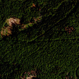 Satellite imagery of TP, CZ