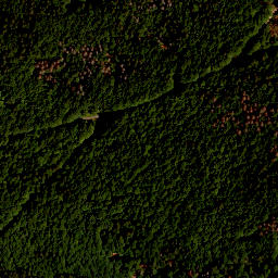 Satellite imagery of TP, CZ