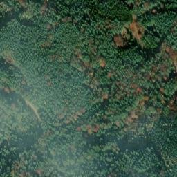 Satellite imagery of r. 1951, CZ