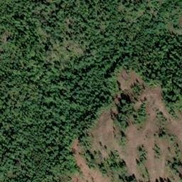 Satellite imagery of Tamarac Mountain, CA