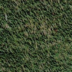 Satellite imagery of Lightning Strike, CA