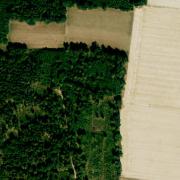 Satellite imagery of Schuhberg, DE
