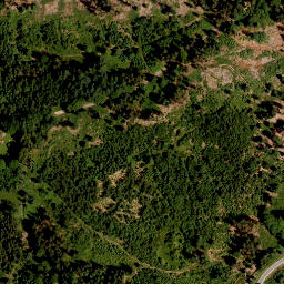 Satellite imagery of survey_point, CZ