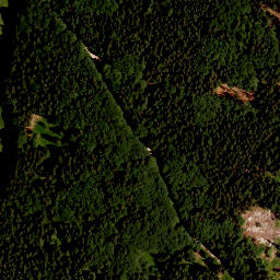 Satellite imagery of TP, CZ