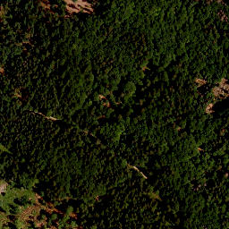 Satellite imagery of TP, CZ