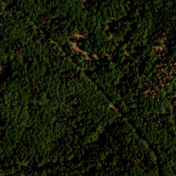 Satellite imagery of TP, CZ