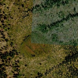 Satellite imagery of survey_point, CZ