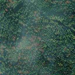 Satellite imagery of r. 1951, CZ