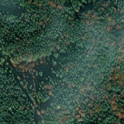 Satellite imagery of r. 1951, CZ