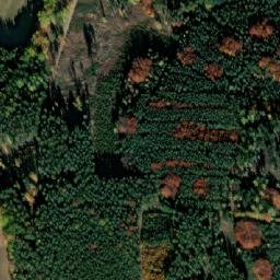 Satellite imagery of Jedlový vrch [Netolice], CZ