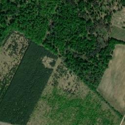 Satellite imagery of Javorůvka [Tavíkovice], CZ