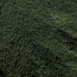 Satellite imagery of červená, PL