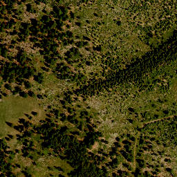 Satellite imagery of survey_point, CZ