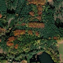 Satellite imagery of Jedlový vrch [Netolice], CZ