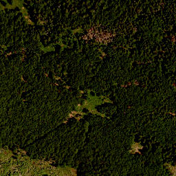 Satellite imagery of survey_point, CZ