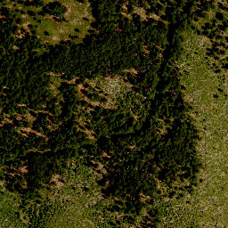 Satellite imagery of survey_point, CZ