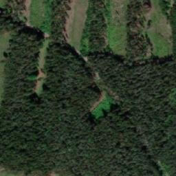 Satellite imagery of k.638 (Slavonický les), CZ