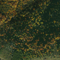Satellite imagery of survey_point, PL