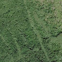 Satellite imagery of Salmonberry Mountain, CA