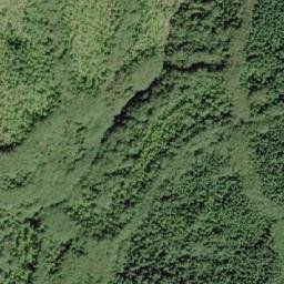 Satellite imagery of Salmonberry Mountain, CA