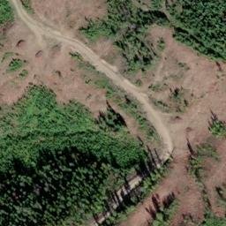 Satellite imagery of Grouse Ridge, CA