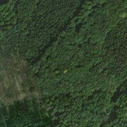 Satellite imagery of Steidach, DE