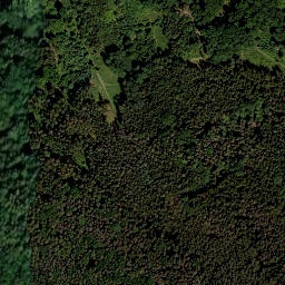 Satellite imagery of Trommetsheimer Berg, DE