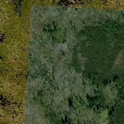 Satellite imagery of 19/16, DE