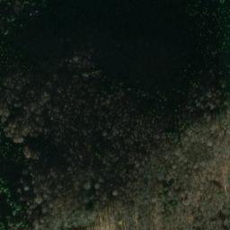 Satellite imagery of Černý les [Buk-Včelná], CZ