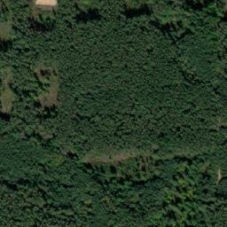 Satellite imagery of Velký les [Dunajovice], CZ