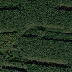 Satellite imagery of Velký les [Dunajovice], CZ