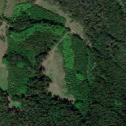 Satellite imagery of k.638 (Slavonický les), CZ