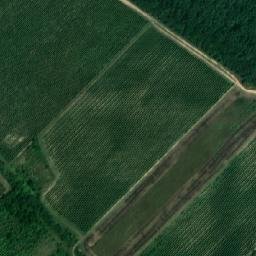 Satellite imagery of Homole [Klobouky u Brna], CZ