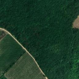 Satellite imagery of Homole [Klobouky u Brna], CZ