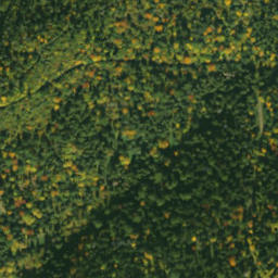 Satellite imagery of survey_point, PL