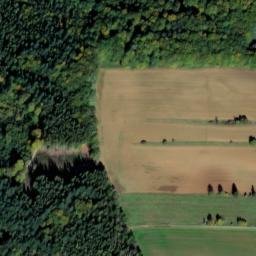 Satellite imagery of Rechenberg, DE