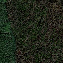 Satellite imagery of Trommetsheimer Berg, DE