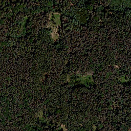 Satellite imagery of Trommetsheimer Berg, DE