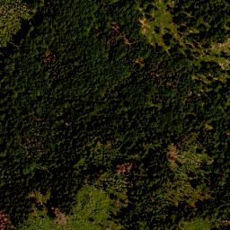 Satellite imagery of 19/16, DE