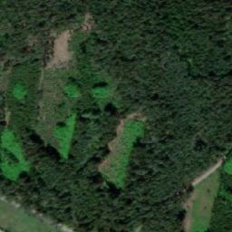 Satellite imagery of k.638 (Slavonický les), CZ