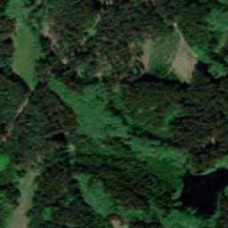 Satellite imagery of k.638 (Slavonický les), CZ