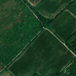 Satellite imagery of Homole [Klobouky u Brna], CZ