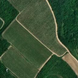 Satellite imagery of Homole [Klobouky u Brna], CZ