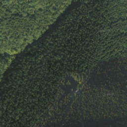 Satellite imagery of survey_point, PL